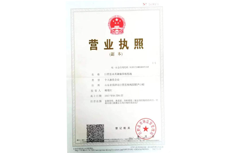 营业执照
